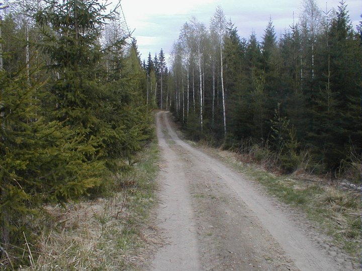 Finnland_2005_1-39.JPG